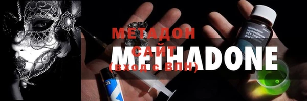 индика Козельск