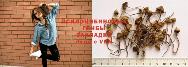 бошки Алексеевка