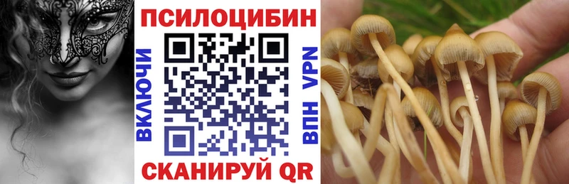 Псилоцибиновые грибы GOLDEN TEACHER площадка официальный сайт Жуков